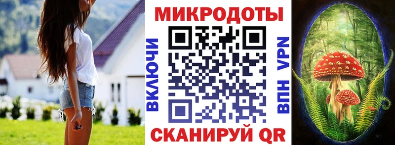 гидра как войти  Высоковск  Галлюциногенные грибы Magic Shrooms  купить закладку 