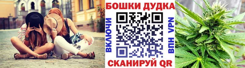 Каннабис OG Kush  гидра ССЫЛКА  Высоковск 